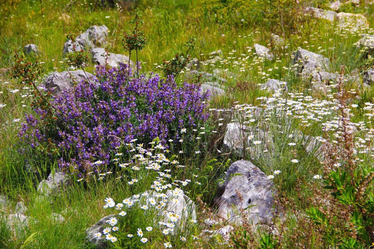 Villa Zlatno Sunce In The Hills Near Trogir Vrsine Luaran gambar