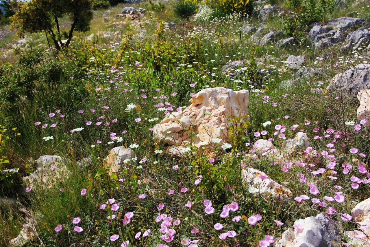 Villa Zlatno Sunce In The Hills Near Trogir Vrsine Luaran gambar